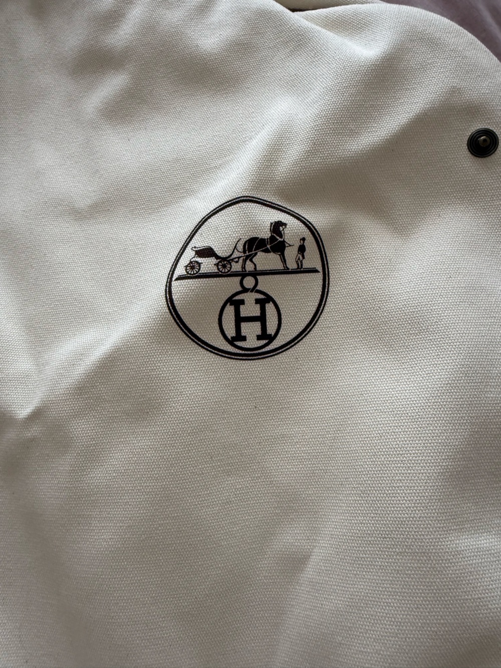 Hermès Logo Suit Garment Bag - creme with Black Print